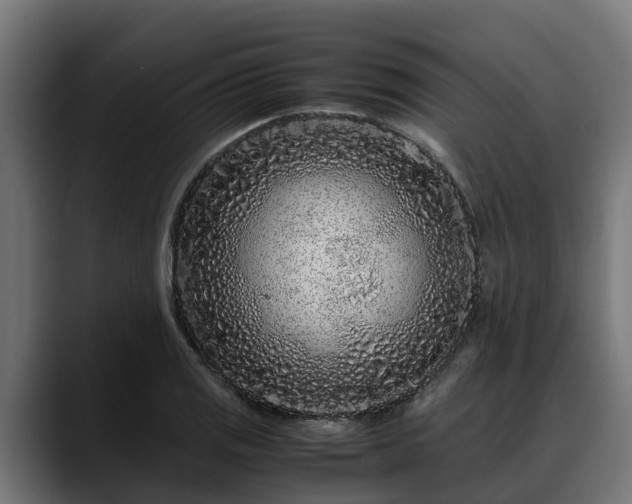 X0000088461125200705291525