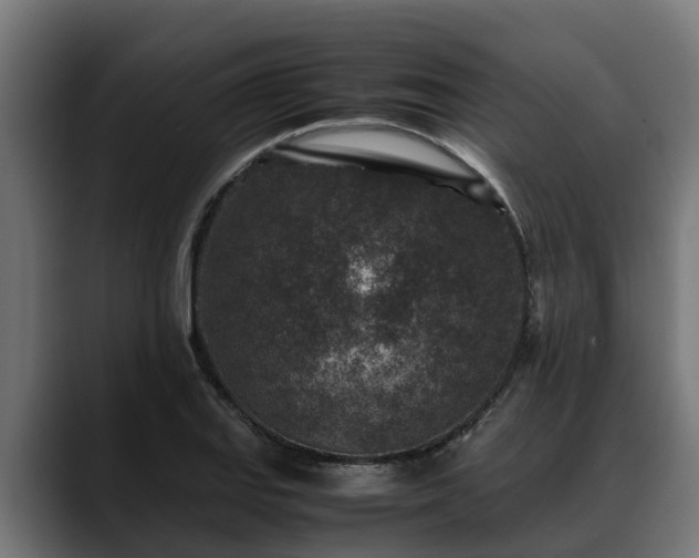 X0000088461127200705291526