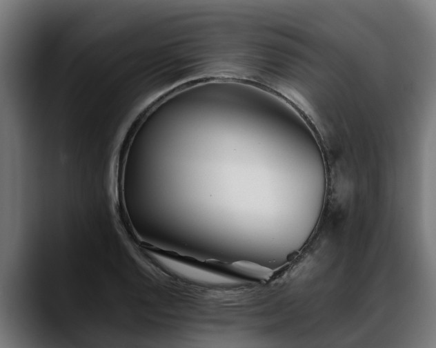 X0000088461128200705291526