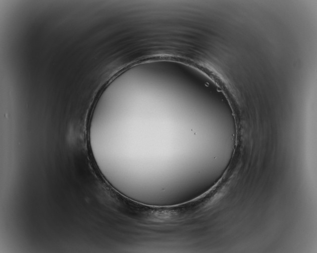 X0000088461129200705291526