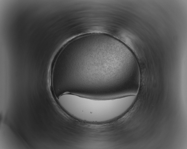 X0000088461132200705291526