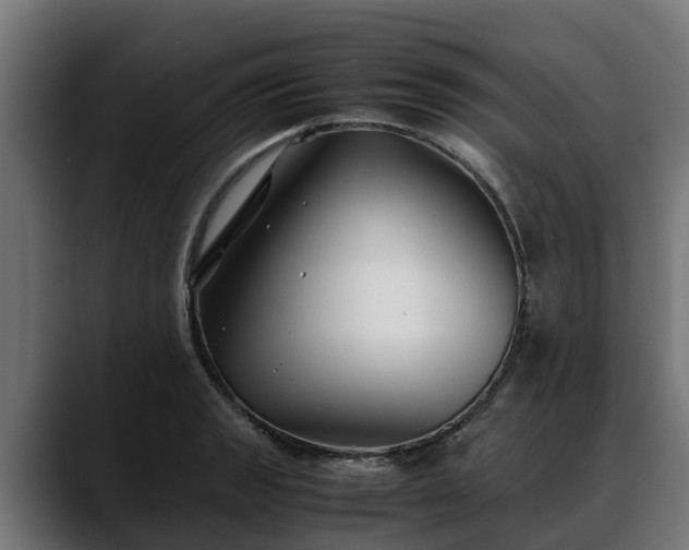 X0000088461133200705291526