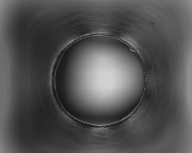 X0000088461135200705291526