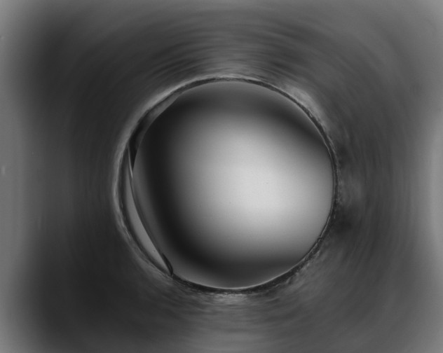 X0000088461136200705291526