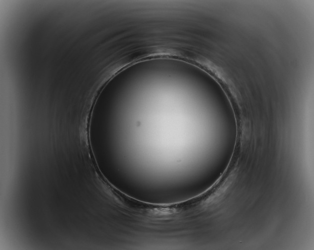 X0000088461137200705291526