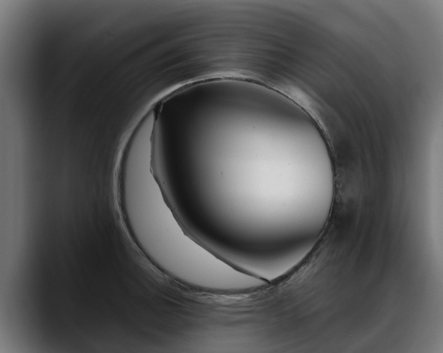 X0000088461140200705291526