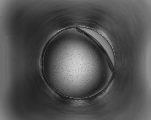 X0000088461141200705291526