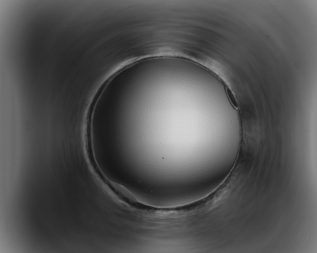 X0000088461142200705291526