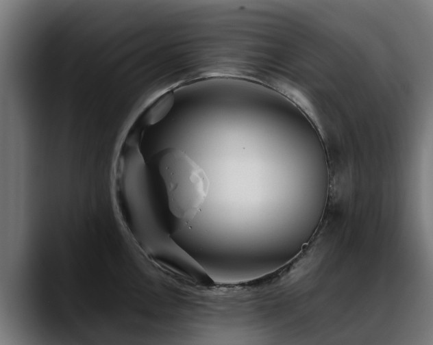 X0000088461146200705291526