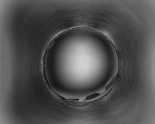 X0000088461151200705291526