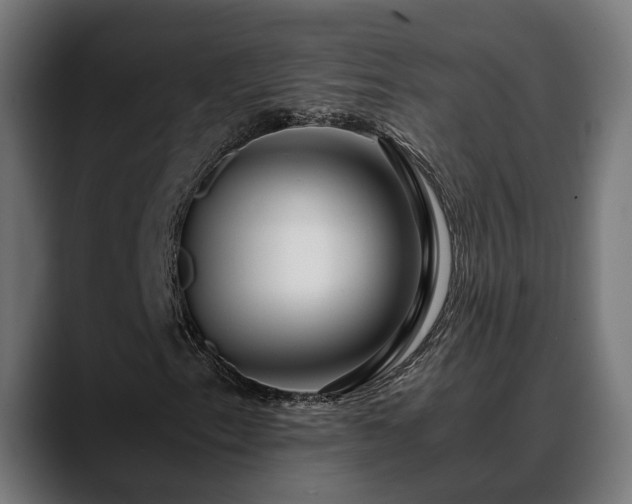 X0000088461153200705291525