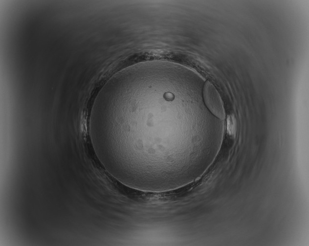 X0000088461155200705291525