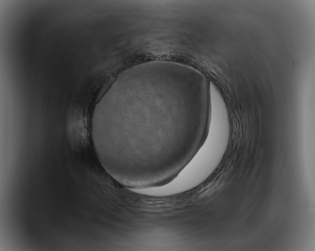 X0000088461156200705291525