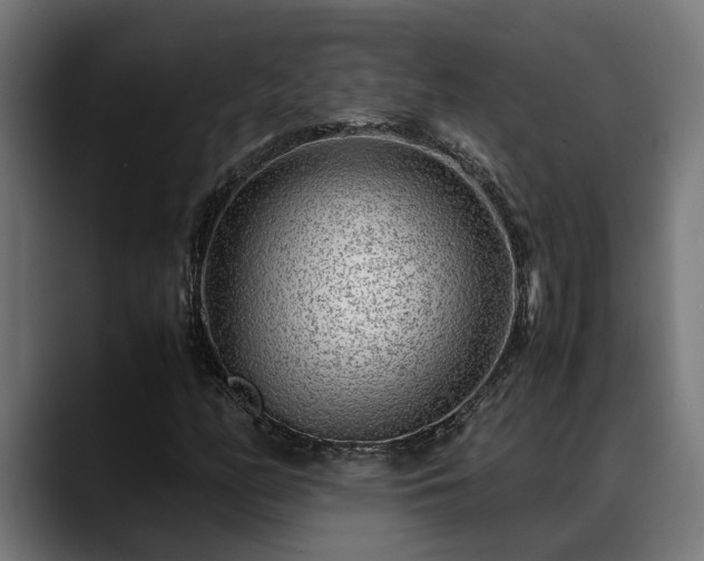 X0000088461158200705291525