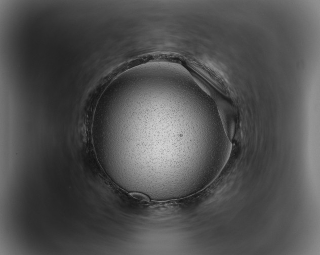 X0000088461159200705291525