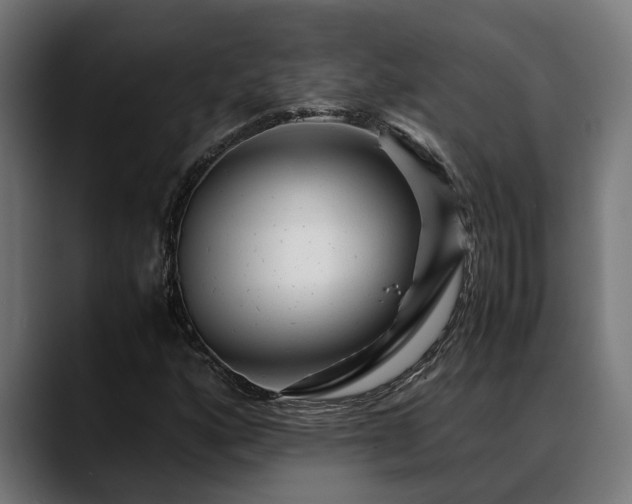 X0000088461160200705291525