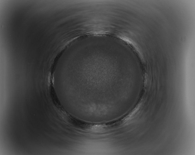 X0000088461161200705291525