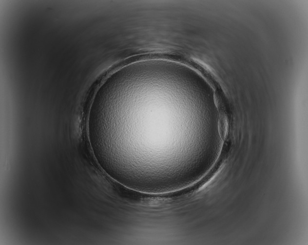 X0000088461163200705291525