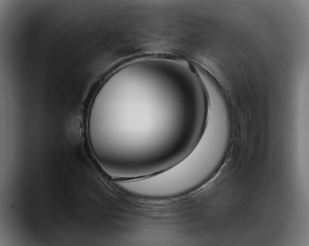 X0000088461164200705291525