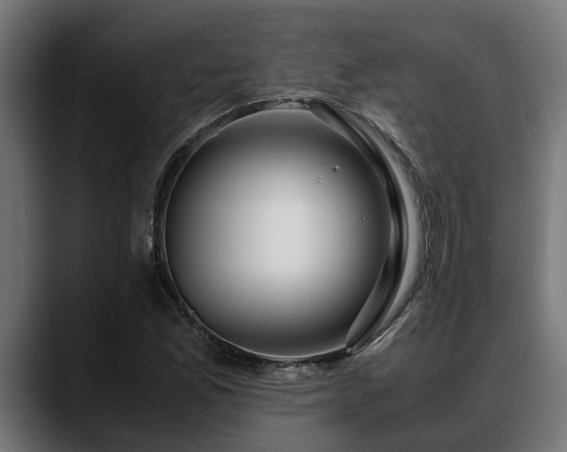 X0000088461165200705291525