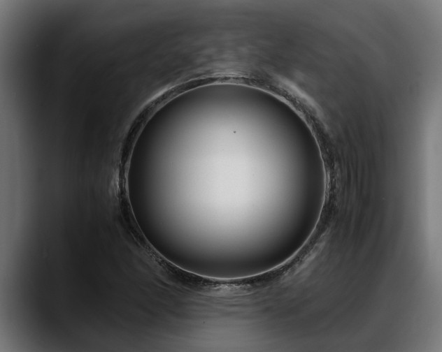 X0000088461166200705291525