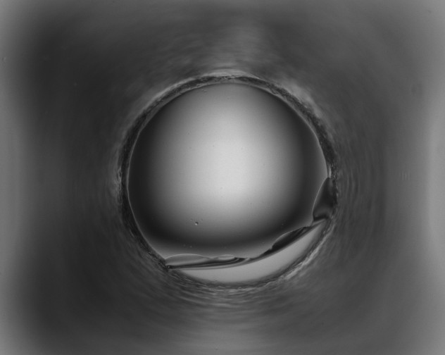 X0000088461167200705291525