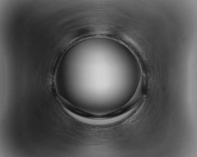 X0000088461169200705291525