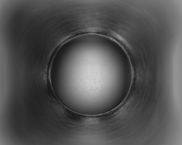 X0000088461170200705291525