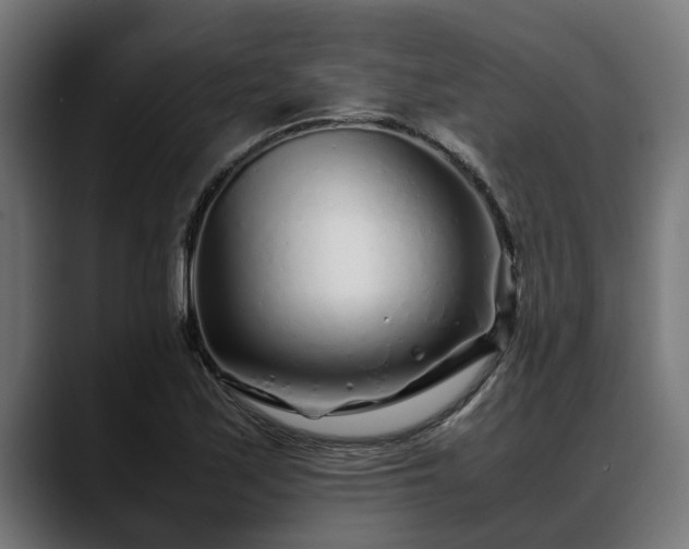 X0000088461171200705291525