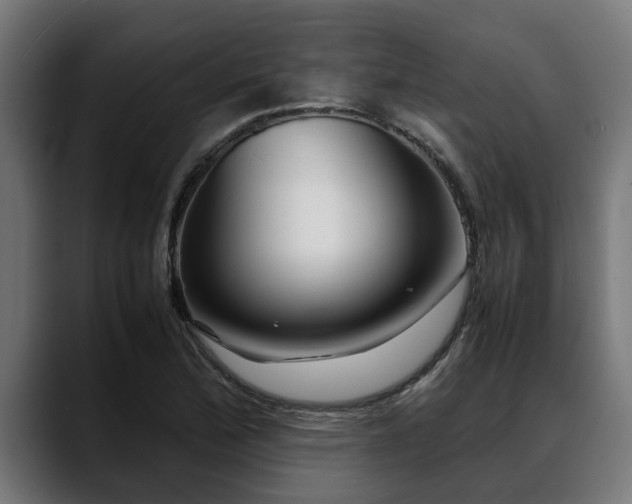 X0000088461172200705291525