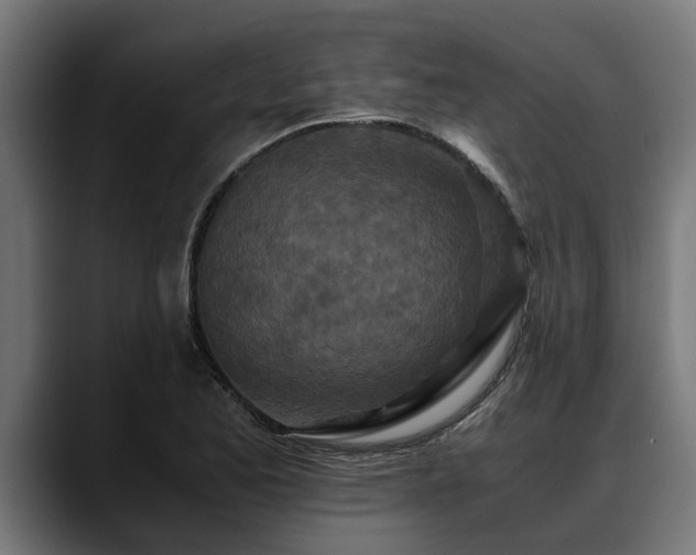 X0000088461173200705291525