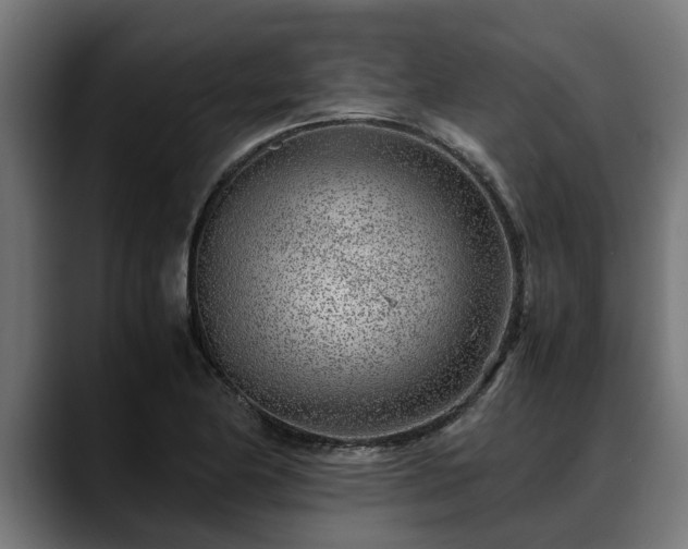 X0000088461174200705291525