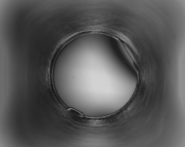 X0000088461176200705291525