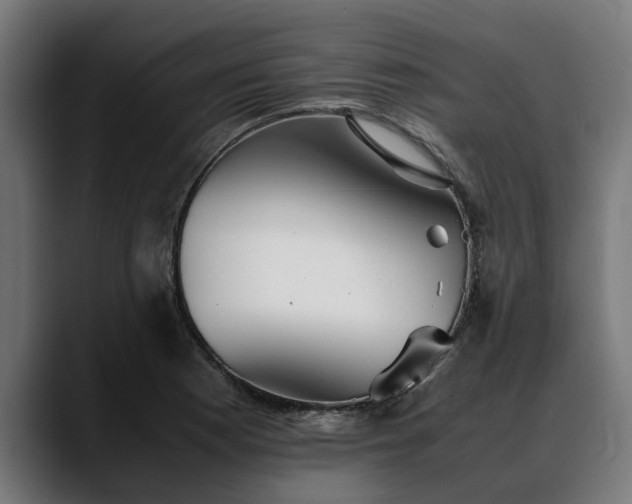 X0000088461177200705291525