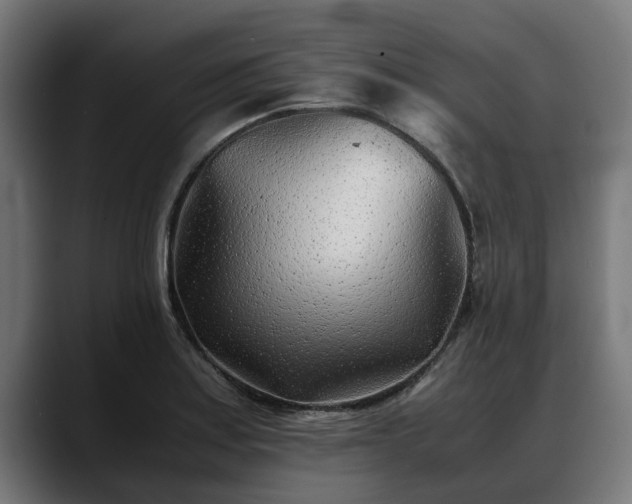 X0000088461179200705291525