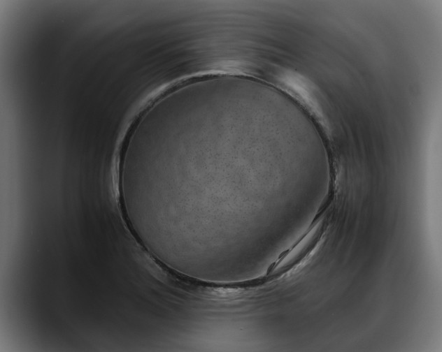 X0000088461180200705291525