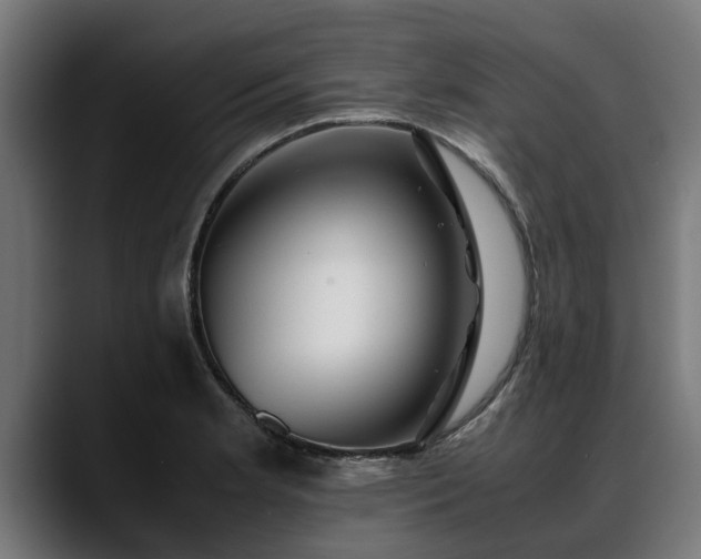 X0000088461181200705291525