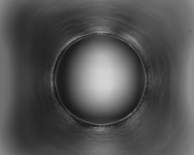 X0000088461182200705291525