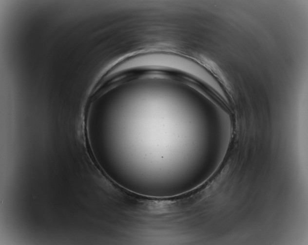 X0000088461184200705291525