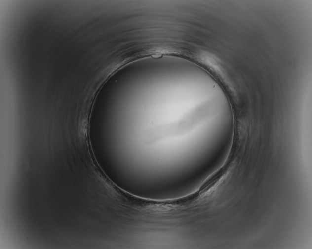 X0000088461185200705291525