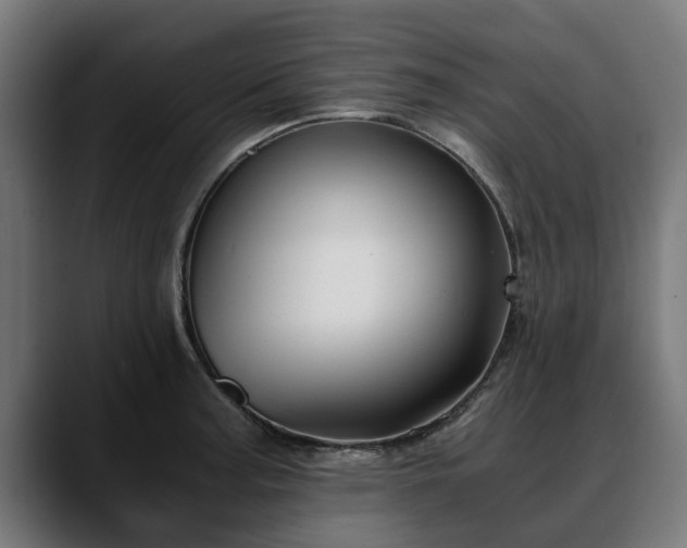 X0000088461187200705291525