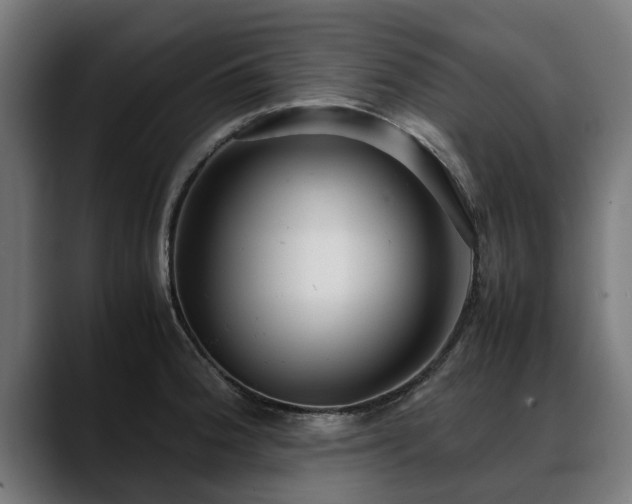 X0000088461188200705291525