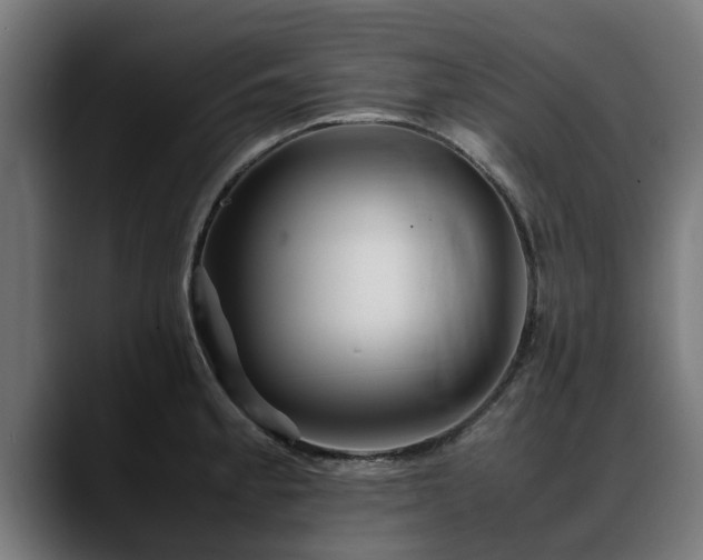 X0000088461189200705291525