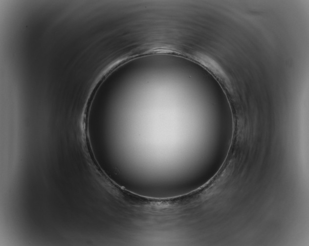 X0000088461190200705291525