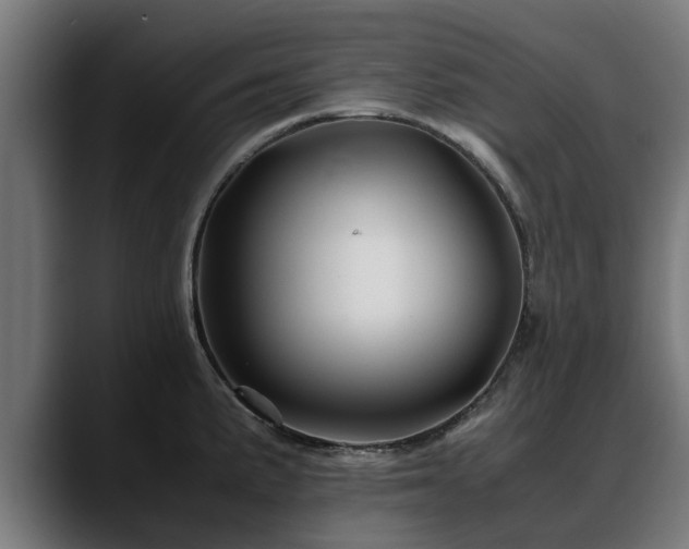 X0000088461191200705291525