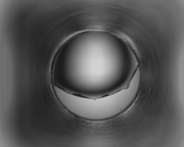 X0000088461192200705291525