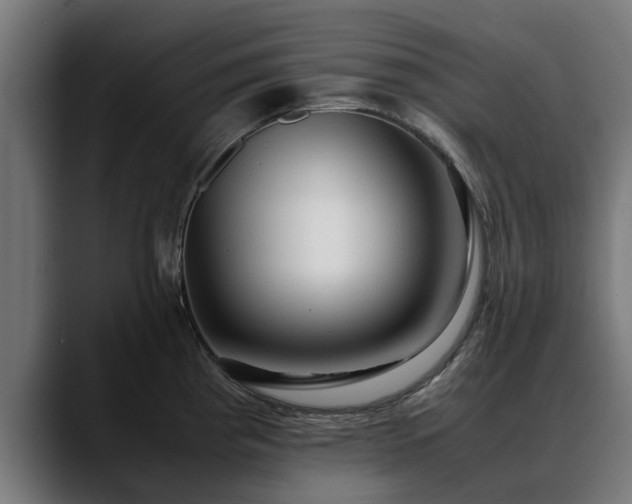 X0000088461193200705291525