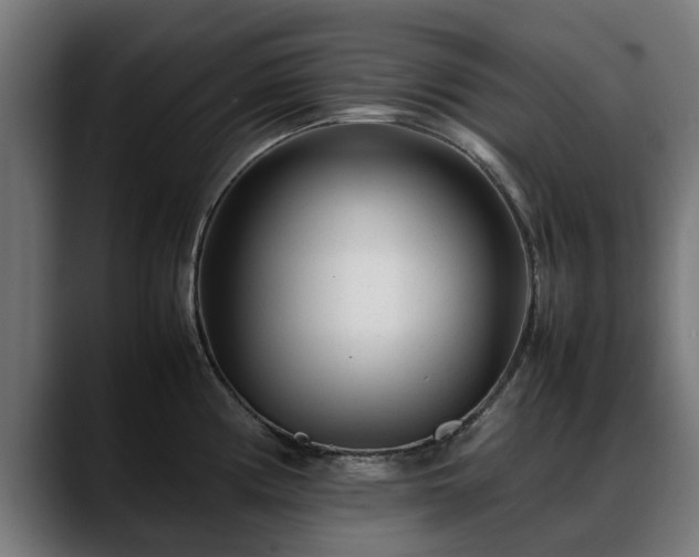 X0000088461194200705291525