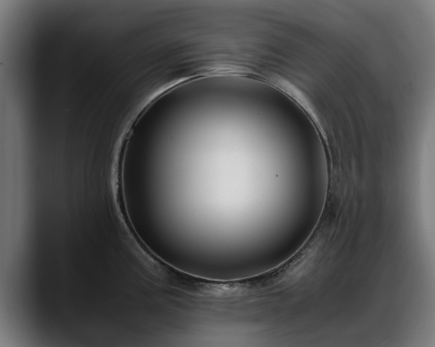 X0000088461195200705291525