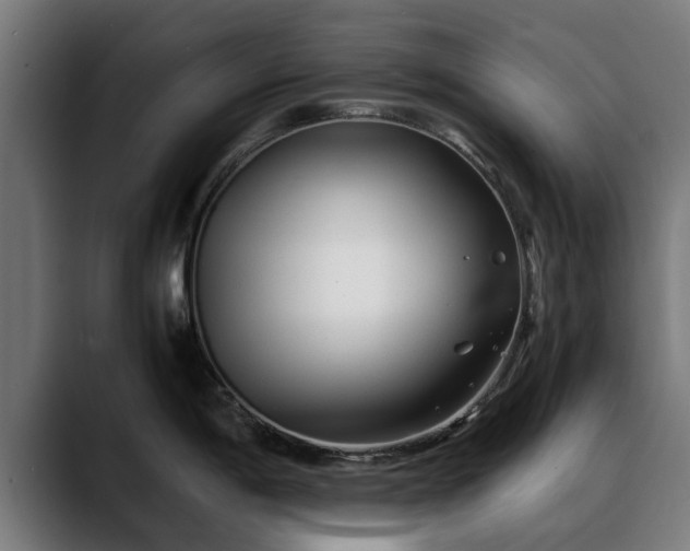 X0000088461198200705291525